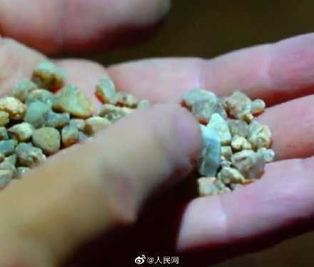 首次！漢中天坑群發(fā)現(xiàn)大量古生物化石