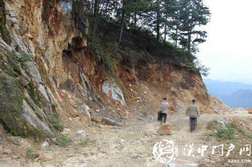勉縣一處林地被破壞，緣何行政機關(guān)成為被告？