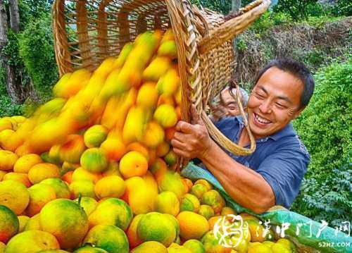 城固縣累計(jì)減貧71672人，101個貧困村退出