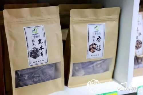 寧強縣列入國家級試點！漢中唯一！