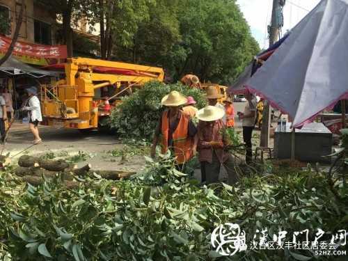 漢中市區(qū)一棵10米大樹突然傾倒，刮倒高壓線，所幸無人傷亡