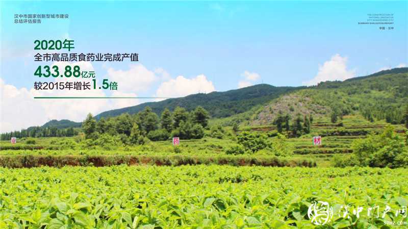 “五大發(fā)展理念”實(shí)施產(chǎn)業(yè)轉(zhuǎn)型升級(jí)，引領(lǐng)漢中經(jīng)濟(jì)高質(zhì)量發(fā)展