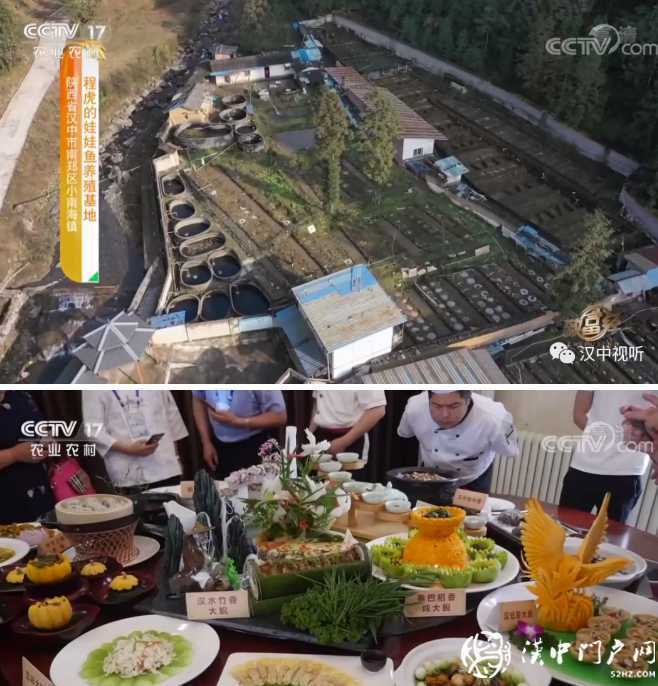 欠款400多萬(wàn)后的財(cái)富逆襲！這位漢中小伙的勵(lì)志故事被央視關(guān)注