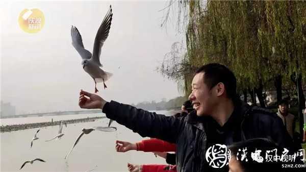 漢江漢中城區(qū)段漂不明污染物？ 官方回應(yīng)