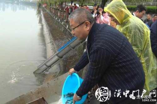 漢臺(tái)區(qū)愛(ài)心放流，40萬(wàn)尾魚寶寶漢江“安家”