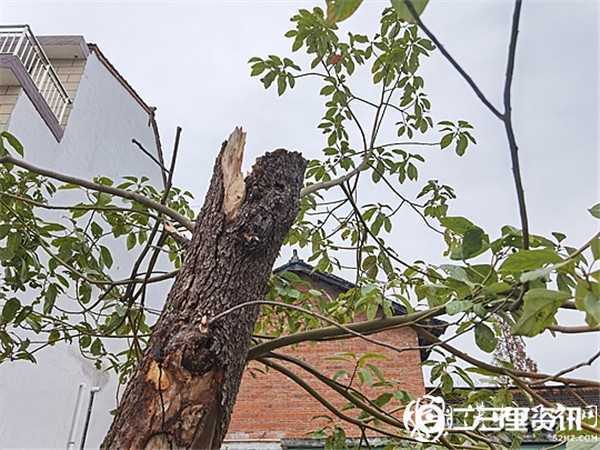 陜飛公司通勤車撞上騎電動(dòng)車上學(xué)母女倆，致兩人不幸身亡