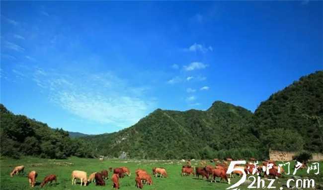 留壩開始全面探尋康養(yǎng)，旅居