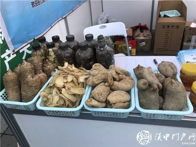 寧強縣第三屆天麻貿(mào)易洽談會暨天麻產(chǎn)業(yè)發(fā)展論壇今日開幕！