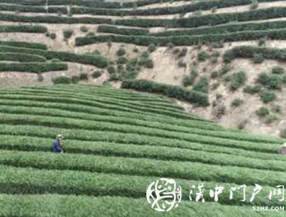 漢中這家企業(yè)，首次躋身百強(qiáng)榜！