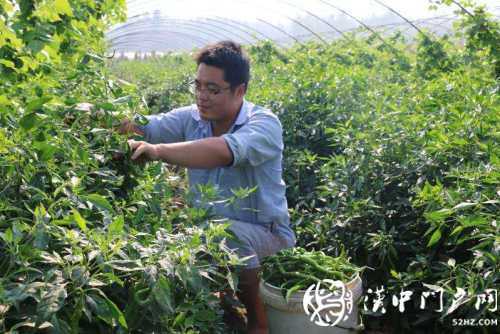 城固縣累計(jì)減貧71672人，101個貧困村退出