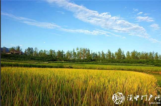 定格美好！想和你一起去找尋漢臺(tái)秋日里的小確幸~