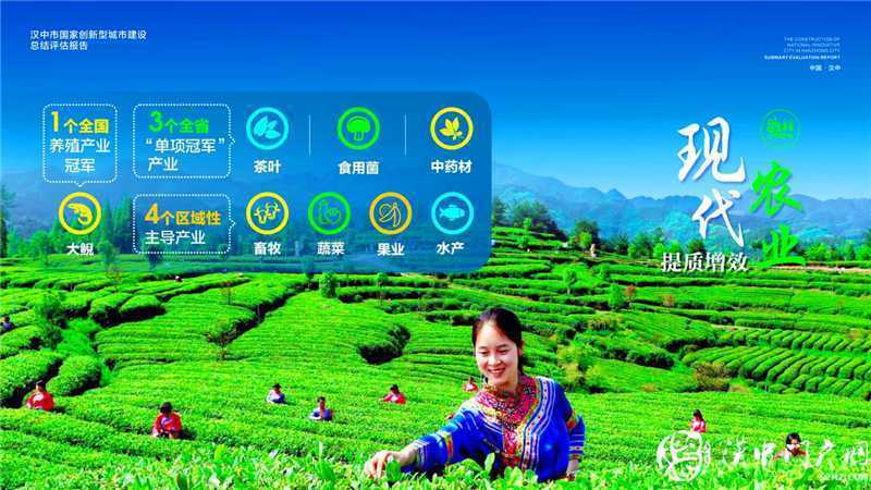 “五大發(fā)展理念”實(shí)施產(chǎn)業(yè)轉(zhuǎn)型升級(jí)，引領(lǐng)漢中經(jīng)濟(jì)高質(zhì)量發(fā)展