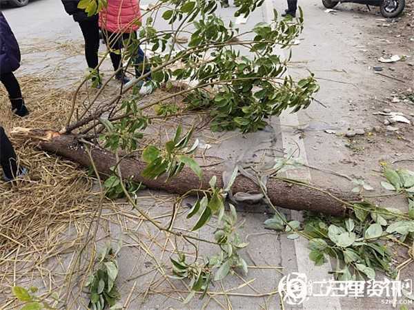 陜飛公司通勤車撞上騎電動(dòng)車上學(xué)母女倆，致兩人不幸身亡