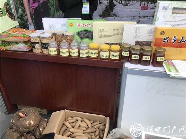 寧強縣第三屆天麻貿(mào)易洽談會暨天麻產(chǎn)業(yè)發(fā)展論壇今日開幕！