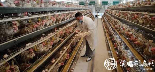 撒花！我市七家企業(yè)通過GAP認(rèn)證，拿到通行全球“護(hù)照”
