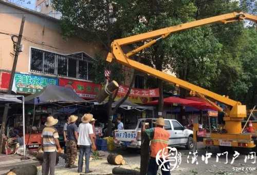 漢中市區(qū)一棵10米大樹突然傾倒，刮倒高壓線，所幸無人傷亡
