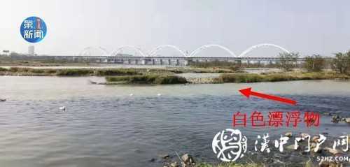 漢江面漂有白色“污染物” ？官方回應(yīng)！