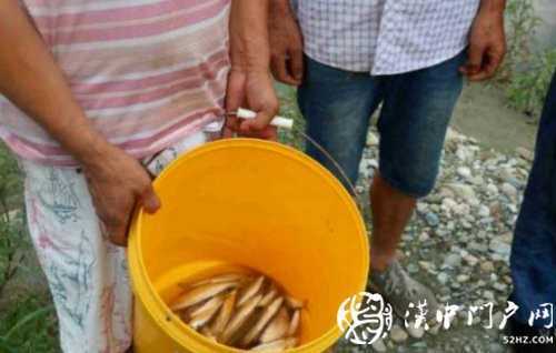 三人在河道非法電魚，被寧強民警抓個正著