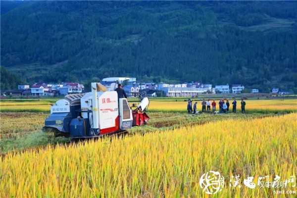 撒花！我市七家企業(yè)通過GAP認(rèn)證，拿到通行全球“護(hù)照”