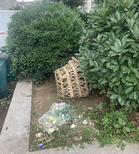 漢中一小區(qū)樓下果蔬超市亂扔果皮菜葉，影響居住環(huán)境