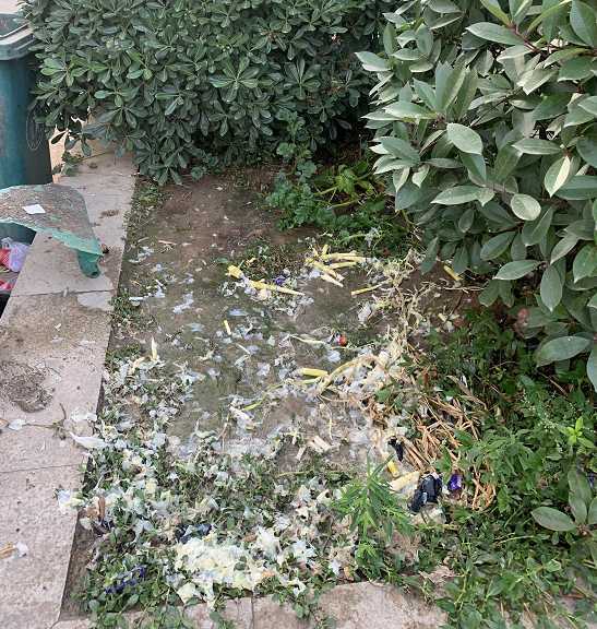 漢中一小區(qū)樓下果蔬超市亂扔果皮菜葉，影響居住環(huán)境