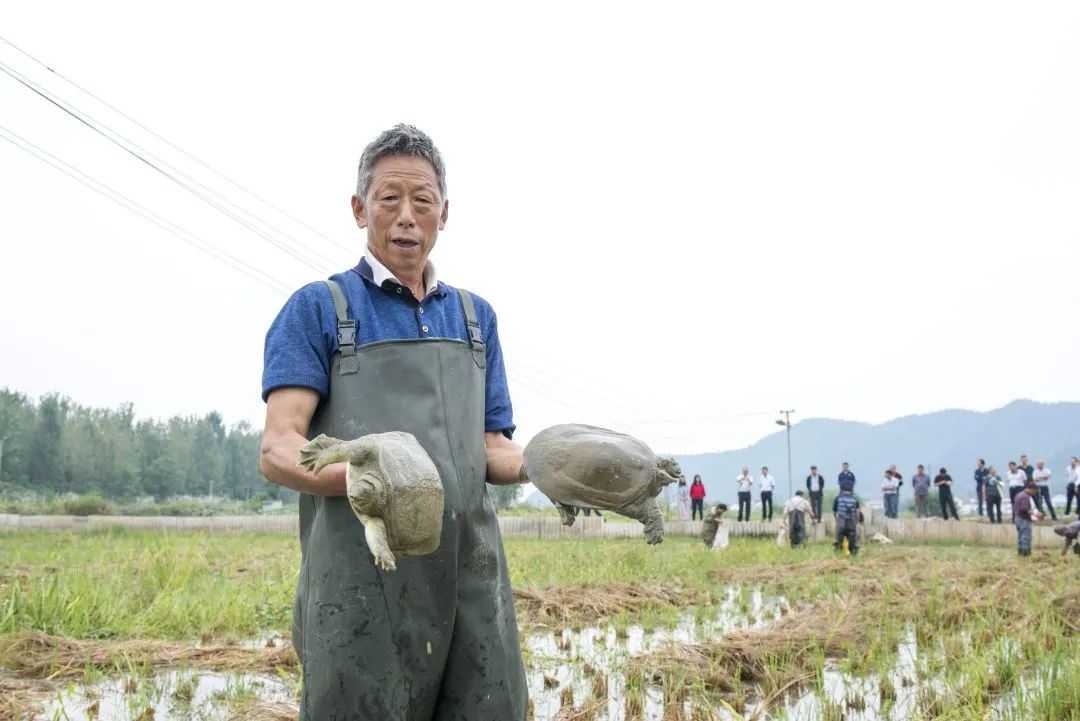 累計(jì)減貧78799人！看南鄭是怎么做到的...