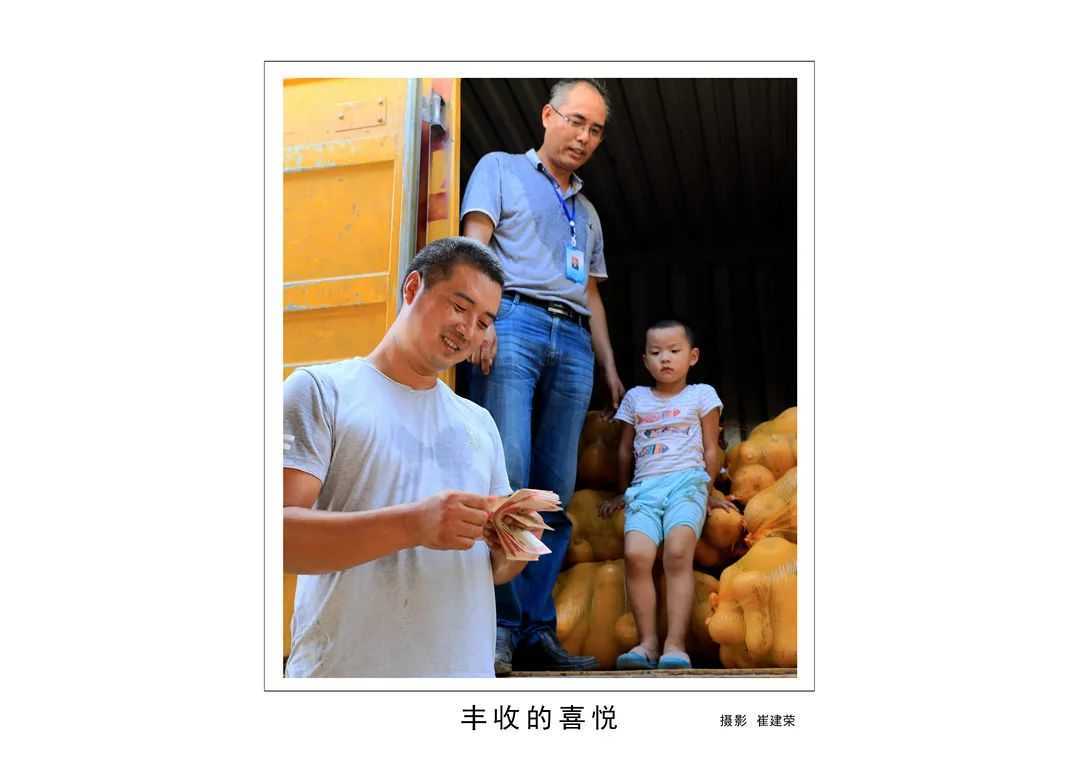 1175戶、34466人脫貧！漢臺(tái)區(qū)做了這些......"