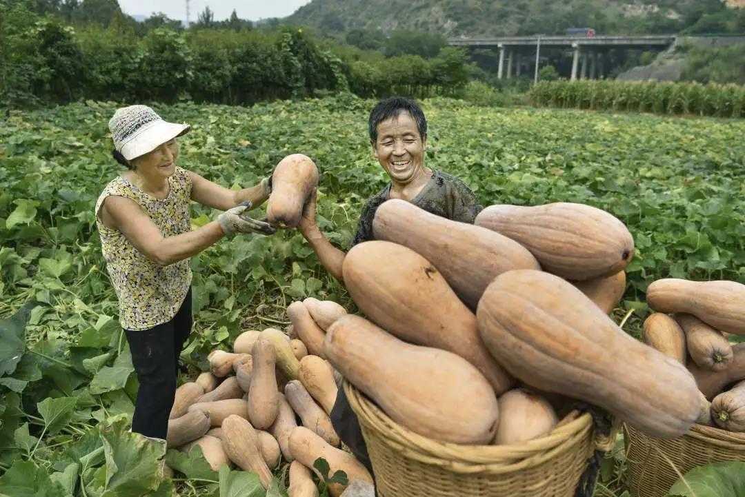 累計(jì)減貧78799人！看南鄭是怎么做到的...