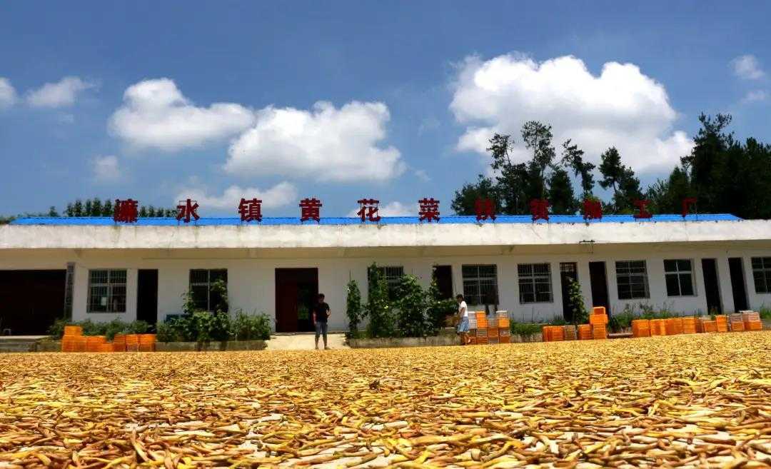 累計(jì)減貧78799人！看南鄭是怎么做到的...