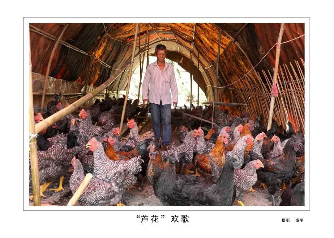 1175戶、34466人脫貧！漢臺(tái)區(qū)做了這些......"