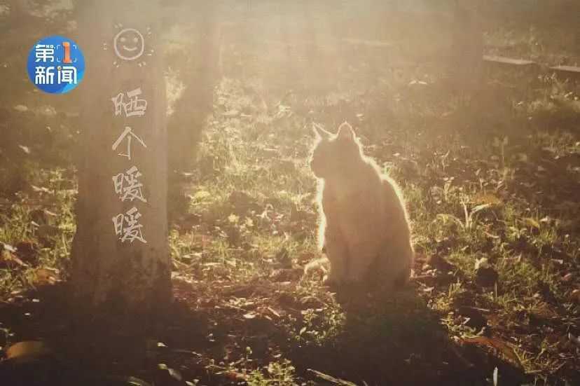 室內(nèi)溫度比室外高28℃！漢中別羨慕，市政集中供暖真的來了！