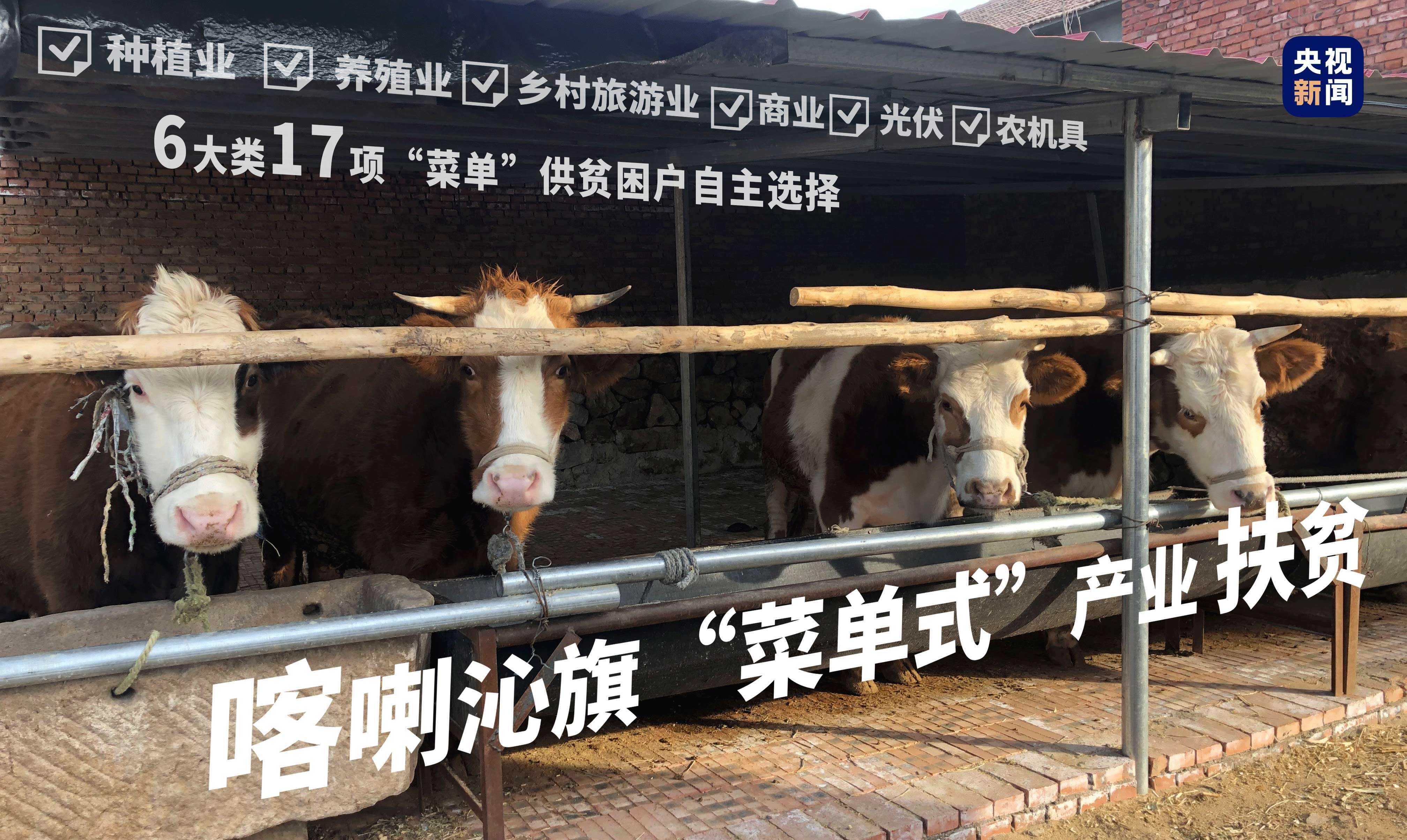 向總書記報(bào)告丨金鞍躍馬好揚(yáng)鞭