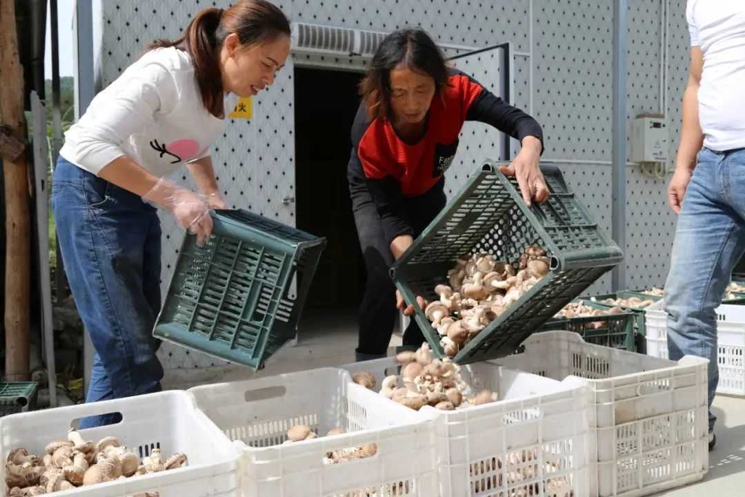 全市唯一，國(guó)家授牌