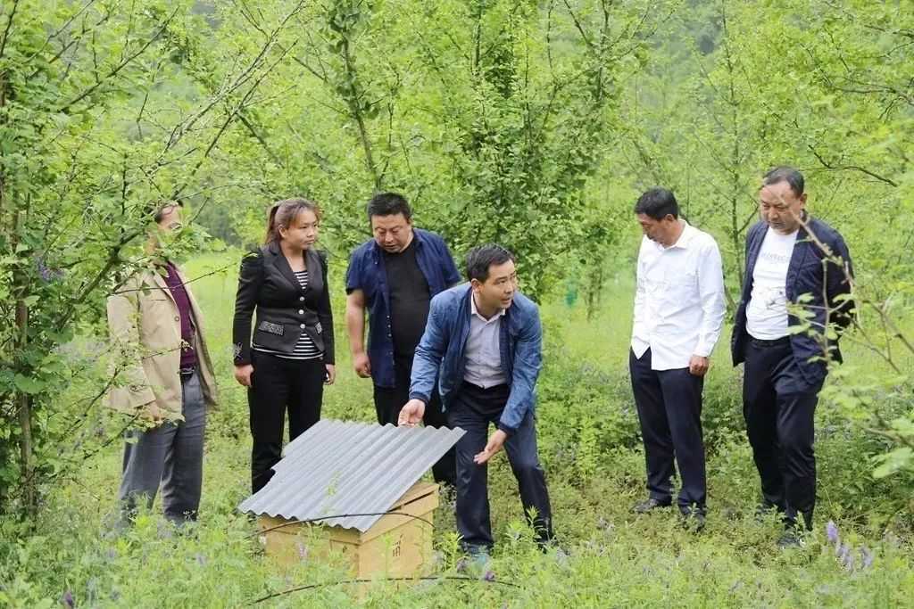 全市唯一，國(guó)家授牌