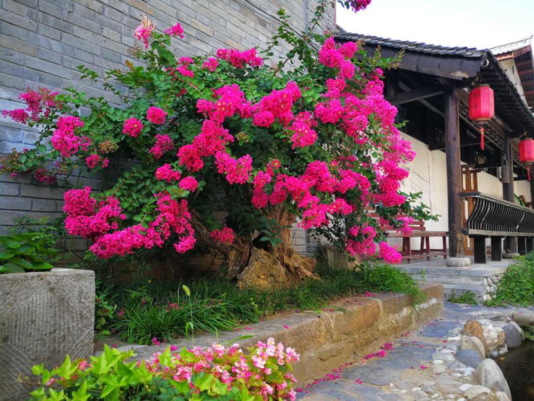 全市唯一，國(guó)家授牌