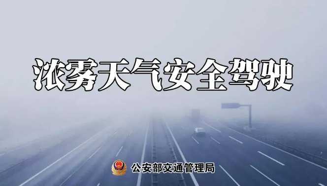 多地有大霧，安全駕駛提示速收好！ | 預(yù)警