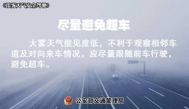 多地有大霧，安全駕駛提示速收好！ | 預(yù)警