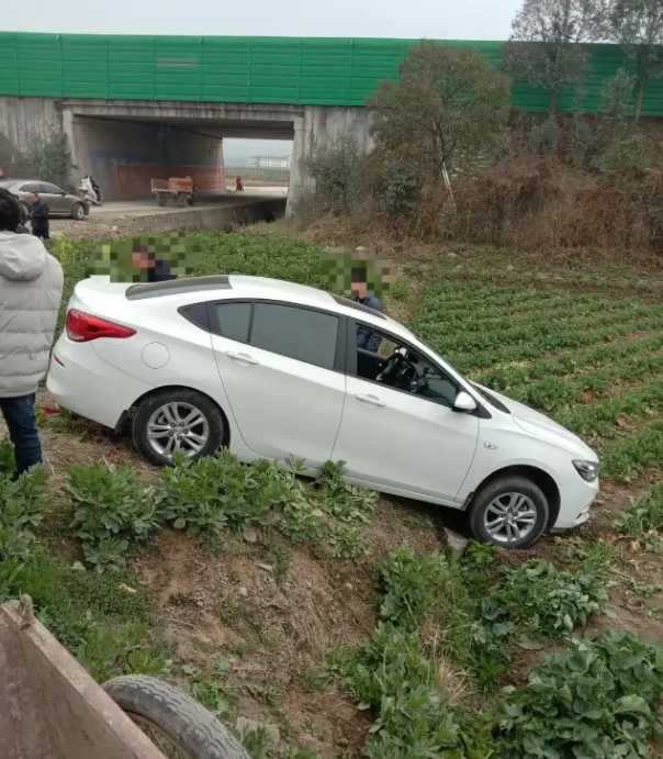 漢中一輛汽車開到油菜田里了！