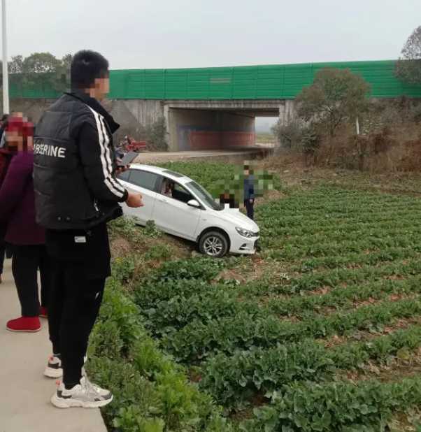 漢中一輛汽車開到油菜田里了！