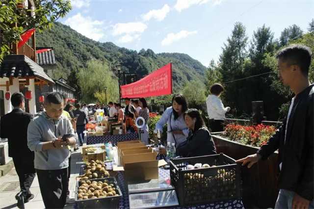 又是一年豐收時，留壩縣第四屆農(nóng)民豐收節(jié)今日正式開幕！