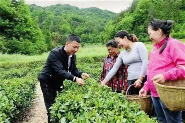 中央電視臺來漢中啦！只為這位85后
