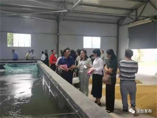 喜報！漢臺這個集體被民進中央表彰