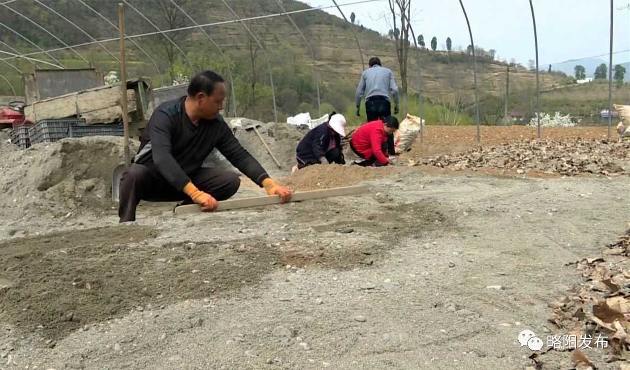 徐家坪：再出發(fā)！奔向幸福新生活