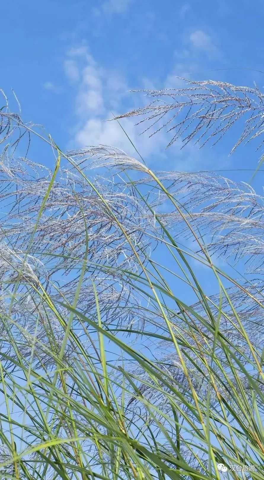 2022漢臺美景合集，今天帶你一次看完！