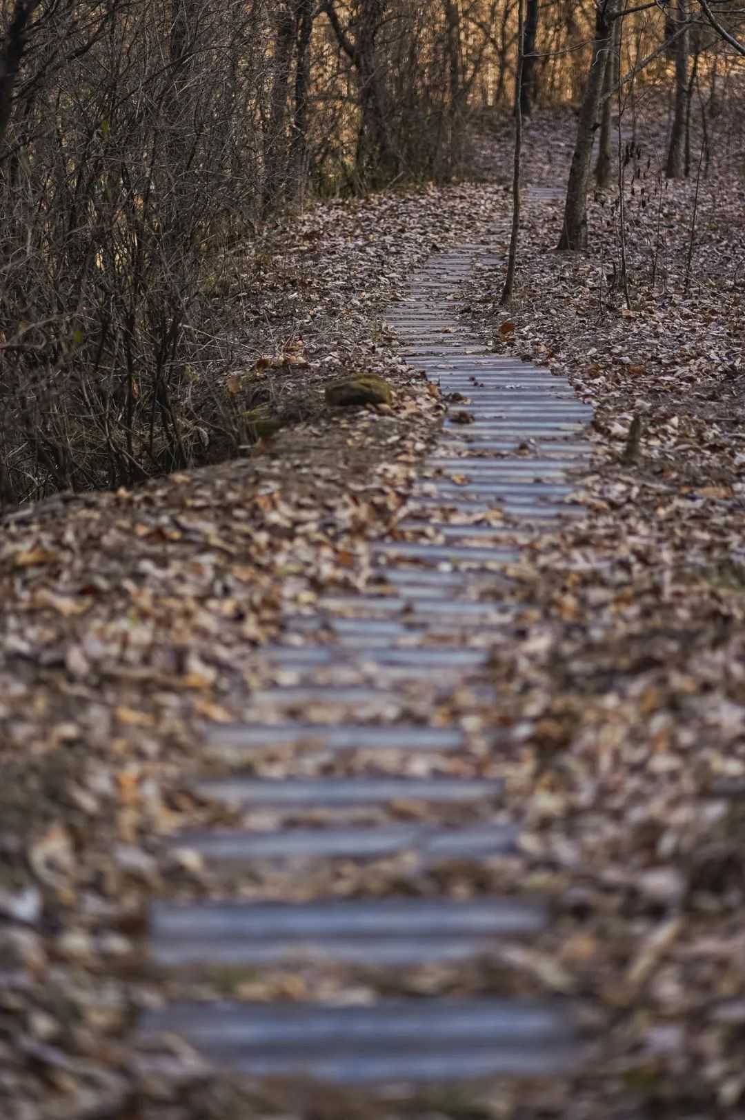 在漢中，這定是您向往的冬日生活！