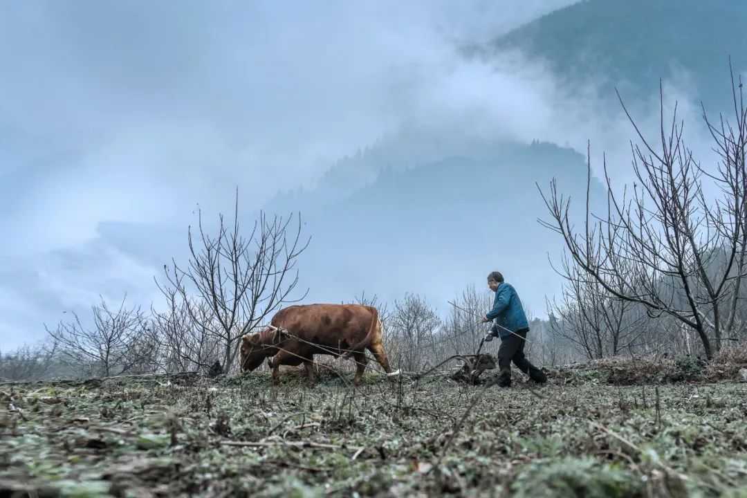 在漢中，這定是您向往的冬日生活！