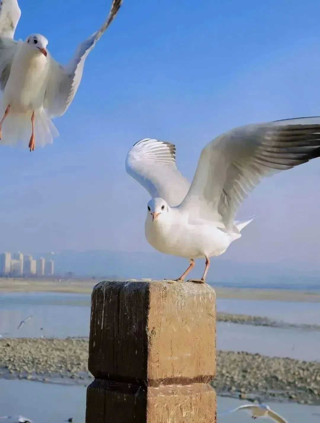 漢中美圖大片！煙火起 照人間，喜悅無邊 執(zhí)手憶此年。
