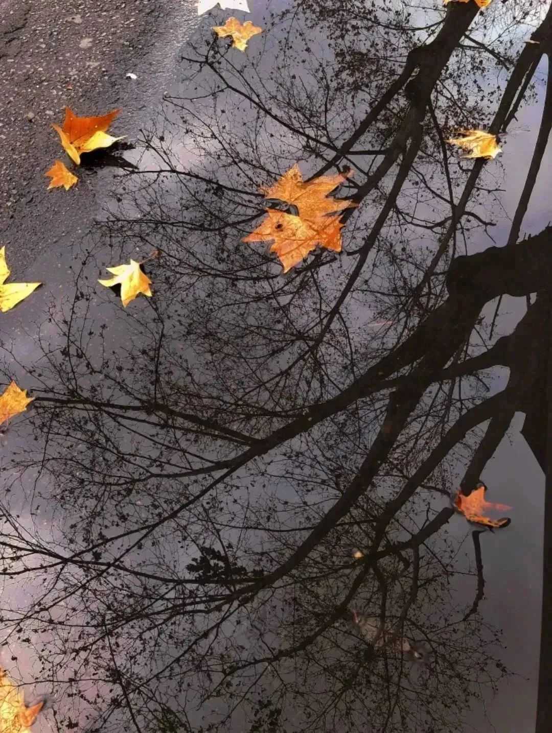 漢中美圖大片！煙火起 照人間，喜悅無邊 執(zhí)手憶此年。