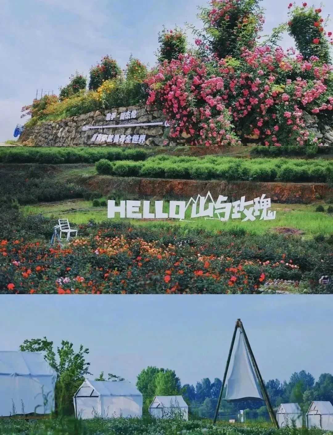 漢中美圖大片！煙火起 照人間，喜悅無邊 執(zhí)手憶此年。