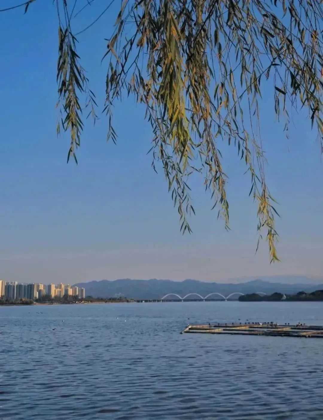 漢中美圖大片！煙火起 照人間，喜悅無邊 執(zhí)手憶此年。